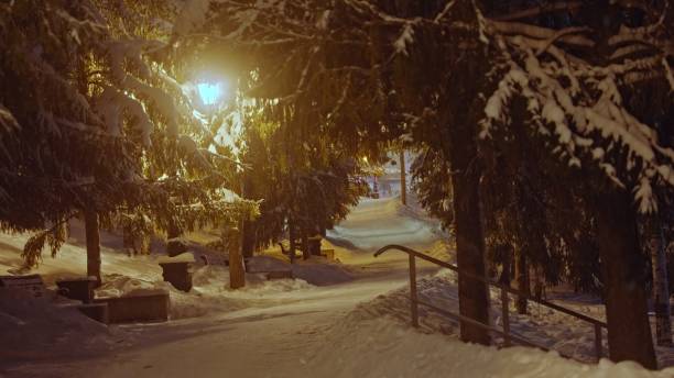 istock A Serene Snowy Pathway Lit by a Streetlight During a Chilly Nighttime Experience 2186758279