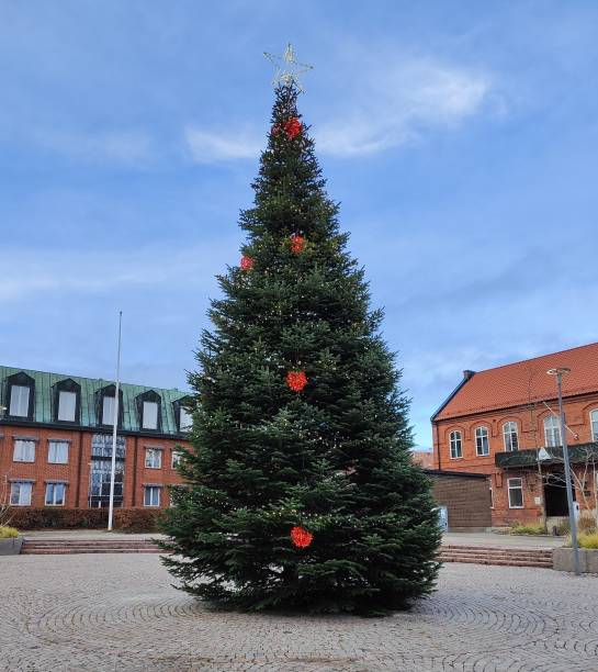 istock Christmas tree in the city square 2186758367