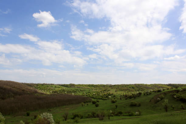 field with a green field and a white sky with clouds