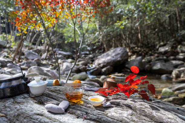 Drinking tea by the stream in autumn, Chinese tea