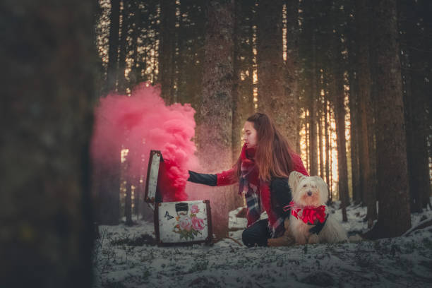 Young woman and terrier dog with magic box in forest, pink smoke billows out of box