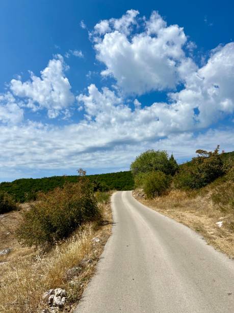 istock Narrow countryside dirt road surrounded by dry grass under a blue sky 2186776745