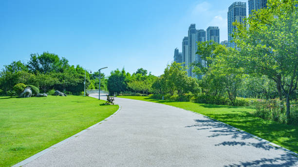 istock Curved footpath through the green city park 2186776756