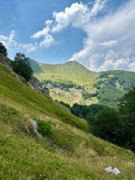 istock Rolling green hills with patches of trees under a partly cloudy sky 2186777391