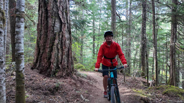 istock Young woman mountain bikes through old growth forest 2186779901