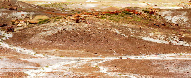 istock Bleak Landscape Petrified Forest National Park Arizona 2186782055