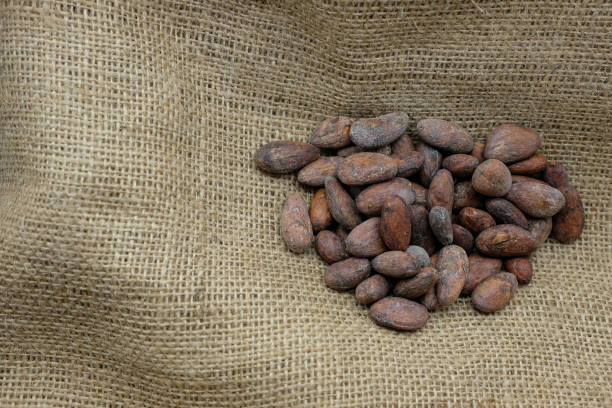 istock Cocoa Beans on the Jute Fabric Sack. 2186794659