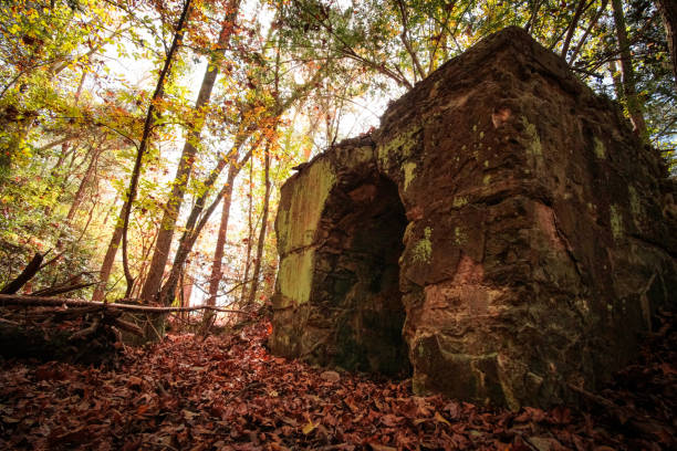 Ruins of cement structure from a nitrogen production facility built in South Carolina during the early twentieth century