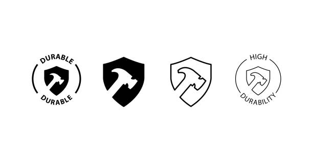 vector illustration