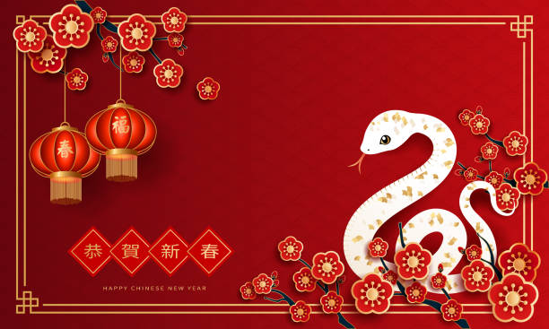istock 2025 Chinese New Year template features a Year of the Snake design, adorned with plum blossoms on a red background, exuding a festive spirit. Translate: Lunar New Year. 2186807170