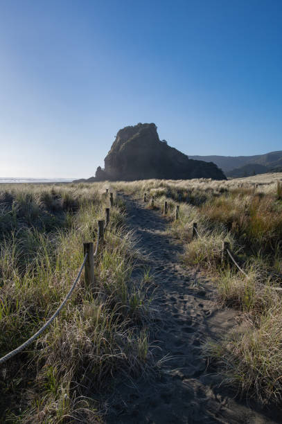 Wonderful evening at the Auckland’s popular surfing Piha Beach