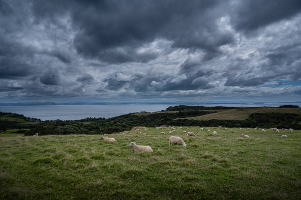 istock Shakespeare Regional Park on a cloudy day 2186811568
