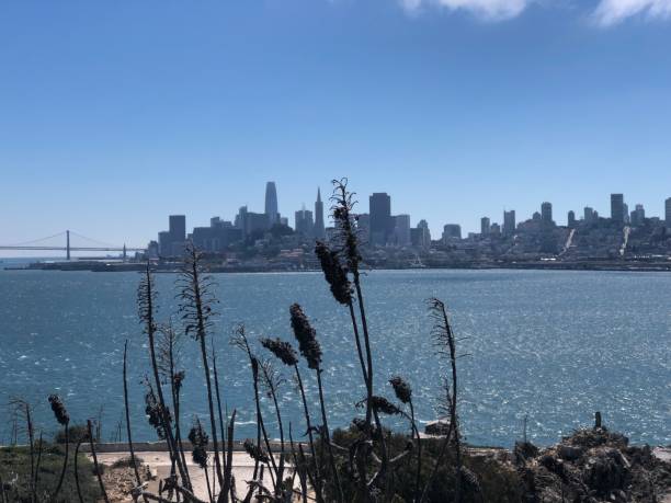 istock View across bay to San Francisco skyline 2186811938
