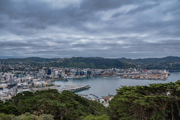 istock Wellington City panorama 2186812019