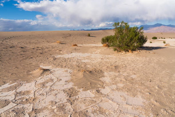 Global warming, drought, lack of rain, no seasonality The land is cracked. concept of environment change and global warming background