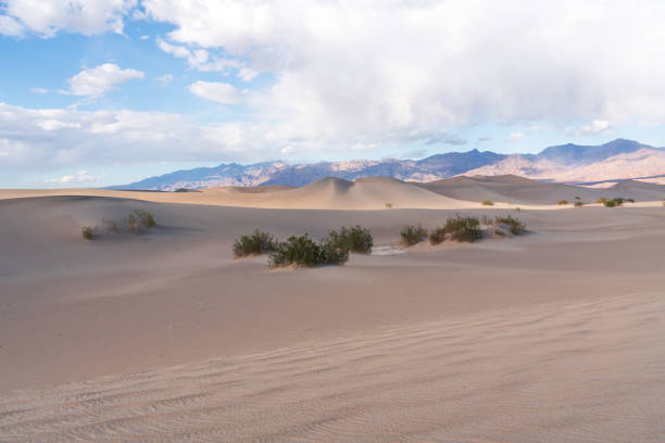 Death Valley National Park Mesquite Flat Sand Dunes