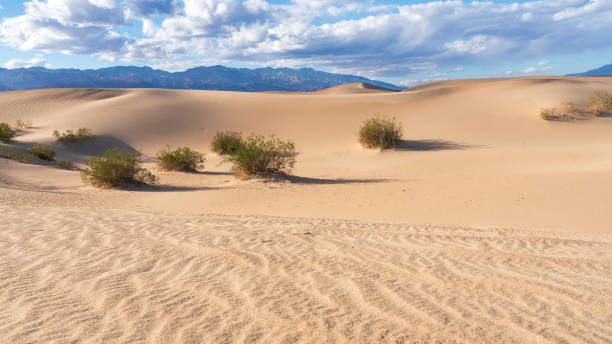 istock Death Valley National Park Mesquite Flat Sand Dunes 2186812327