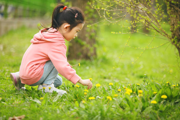 istock Little Asian Girl Picking Dandelions in Spring Park 2186812345