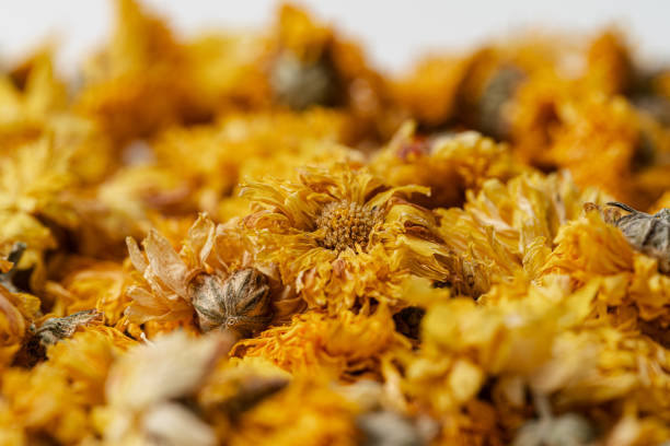 Dried Chrysanthemum Tea Macrophotography