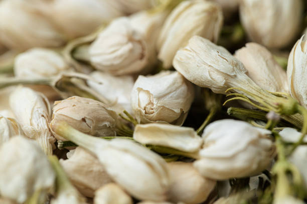 Dried jasmine tea macrophotography white background