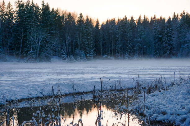 istock View of a field during winter 2186815251
