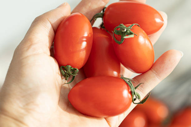 istock red cherry tomatoes background. Group of tomatoes 2186818132