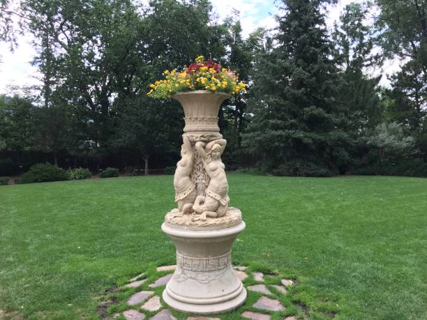 Flowers that bloom in summer.