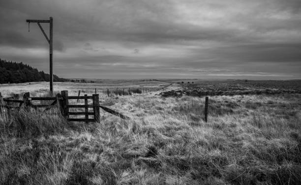 istock Winter's Gibbet, Northumberland 2186821534
