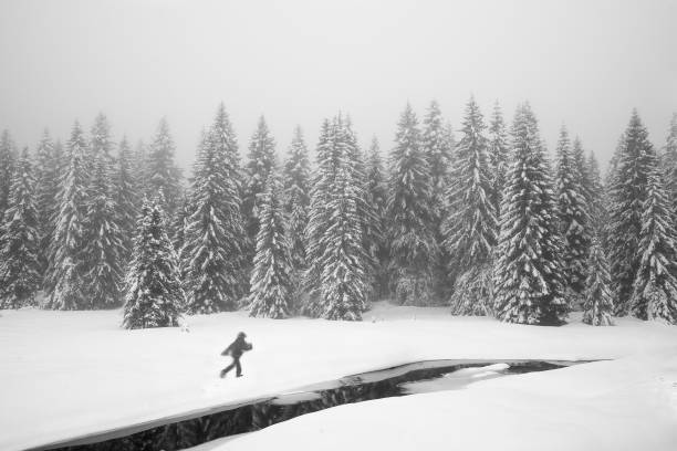 A lone figure walks through a snowy forest landscape with tall, snow-covered trees in grayscale