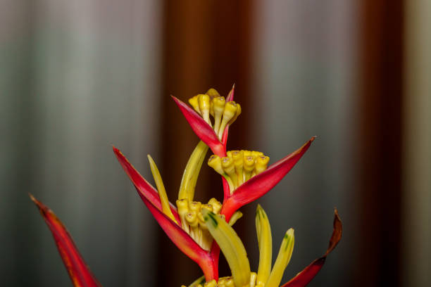 Documentation on various subjects using a macro lens.