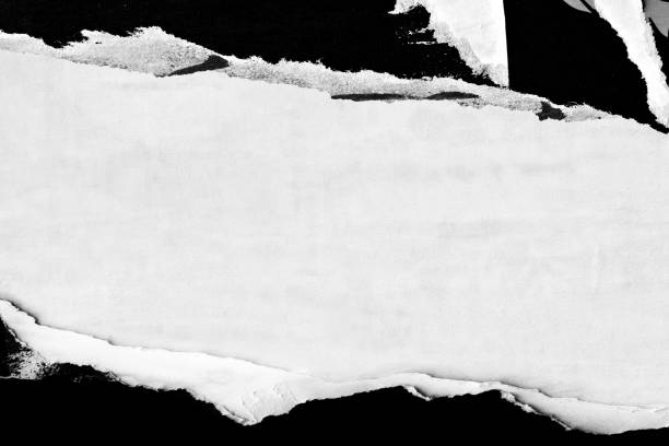 istock Old ripped torn blank black and white posters textures backgrounds grunge creased crumpled paper vintage collage placards empty space text 2186832209