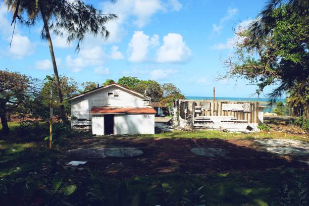 istock A hut off of a Puerto Rican Beach 2186834034