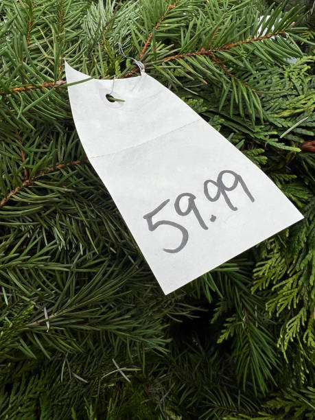 istock Price Tag on Christmas Trees 2186839376