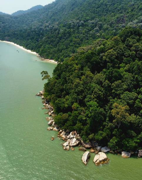 istock Georgetown national park coastline 2186850632