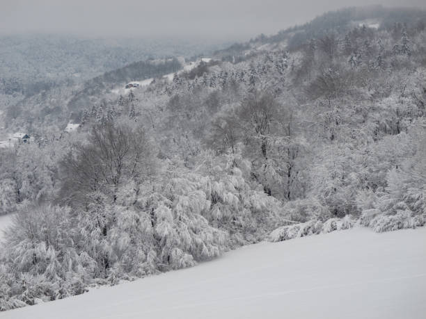 istock Serene winter landscape with snow covered hills and forests during snowfall 2186853091