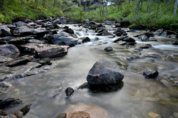 istock Mountain River in the wood 2186859235