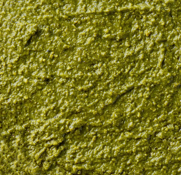 istock pesto sauce close up .Top view. food background. 2186860650