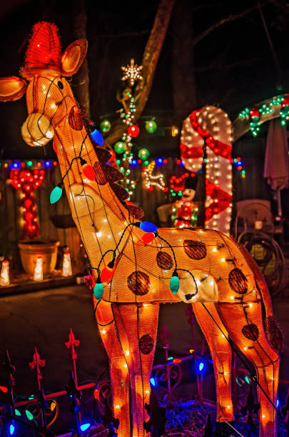 istock Lighted giraffe with Christmas lights  in Columbus Mississippi 2186861638