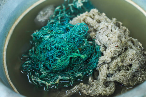 istock green and grey dishwashing sponge close up 2186862136