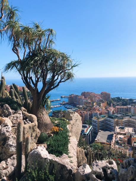 istock Scenic View of Monaco from a High Perspective with Mediterranean Vegetation 2186864717