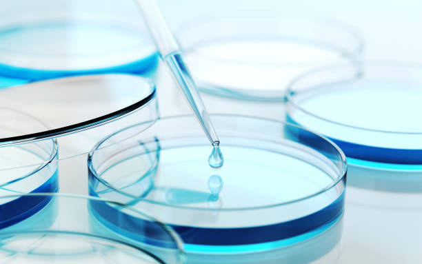istock Testing Liquid from Glass Pipette into Petri Dish on Blue Reflective Background 2186867540