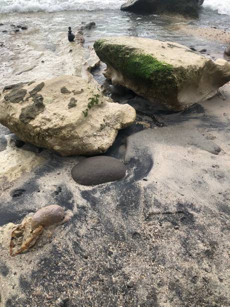 istock beach with rocks, clear ocean water 2186869311