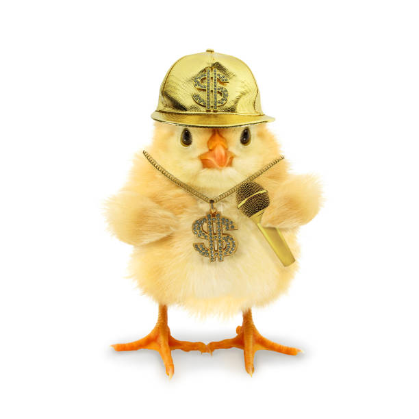 istock Rich rapper rap music chick flexing with golden microphone chain and cap. Musician singer concept idea funny image 2186870049
