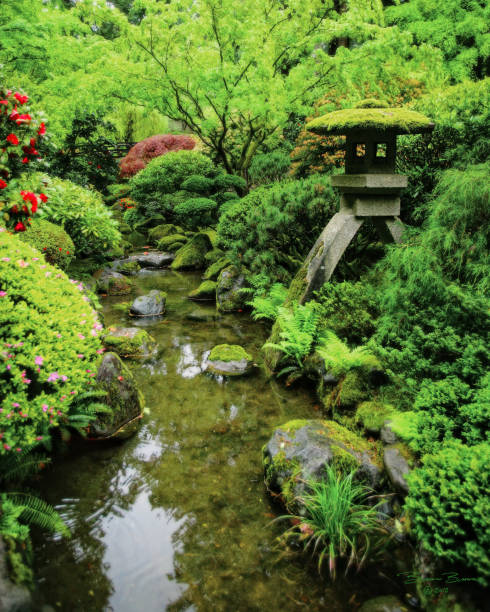 istock An authentic  Japanese Garden 2186872102