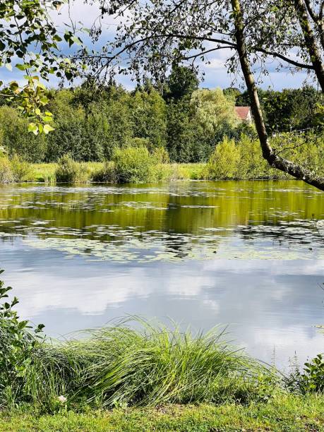 istock Reflections in the fishing lake 2186872403