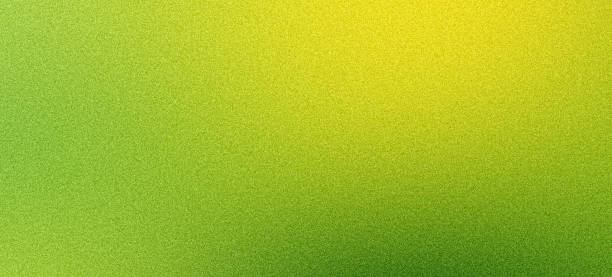istock Yellow green grainy texture background, abstract vibrant glowing noisy poster banner header backdrop design 2186872621