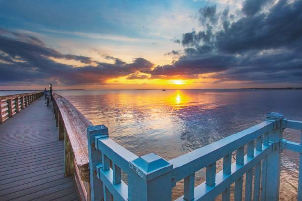 Bay Live Oak Park Pier Calm Sunset