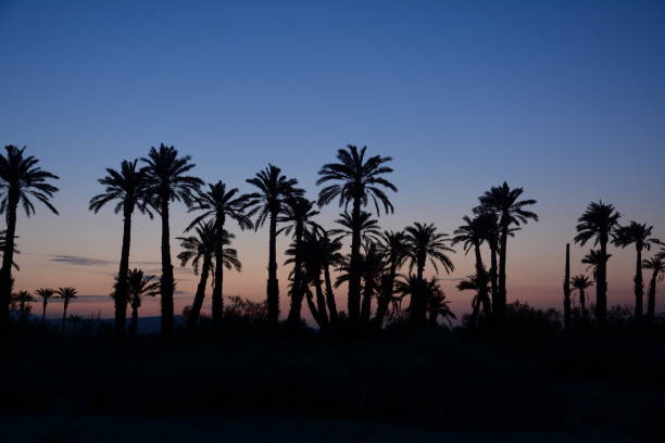 California Desert stock photo