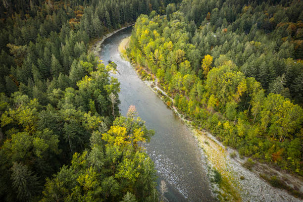 istock Vancouver Island Wilderness Area 2186883819