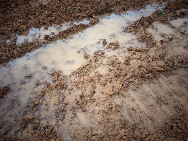 istock muddy ground and puddles of water after rain 2186896822